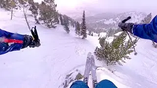 Bluebird powder laps at Jackson hole 