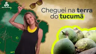 Partiu Amazônia | Julia desembarca no município de Novo Aripuanã, interior do Amazonas