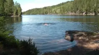 Baden in Elv&aring;ga bei Mariholtet 24.7.2010