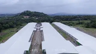 IBG POULTRY FARM