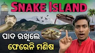 ସାପରେ ଭରପୁର ରହସ୍ୟମୟ ଦ୍ବୀପ | ମଣିଷ ପାଦ ରଖିଲେ ଫେରିବା ଅସମ୍ଭବ Snake Island | Snake Island Brazil | 