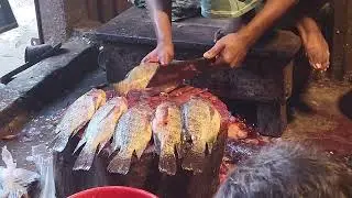 Amazing Big Snake Head Fish Cutting | Fish Cutting Skills | The Last Time
