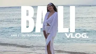 BALI VLOG PART 2: GILI ISLANDS