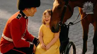 Royal Guard HORSES Show UNEXPECTED Kindness &ndash; Heartwarming Moments