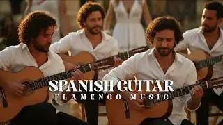 Flamenco Guitar Relaxing Harmony &ndash; Tranquil Accordion Soul