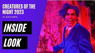 INSIDE LOOK: Creatures of the Night at ZooTampa Creatures 2023