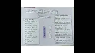 Grade 2 Our Food Concept map