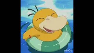 Top 5 Pokemons of Misty