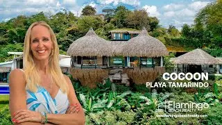 *СНИЖЕНИЕ ЦЕНЫ* Комплекс Cocoon, 4 дома с видом на океан на участке 1,25 акра | Приносит доход от...