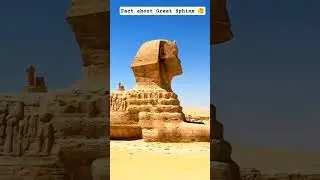 Facts about Great Sphinx 🤔 #facts #amazingfacts #science #fact #trending #shortsfeed #shorts #trend