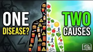 Never Be Sick Again Explained: One Disease, Two Causes (Book Summary)