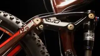 2011 Trek Remedy