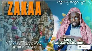Shek  Ahmad Mahmuud | Zakaa | Kuxbaa Masjiida Hamzaa
