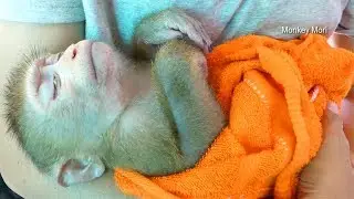 Wow Little Mori So Sweet And Much Warm While Get Good Care From Dad