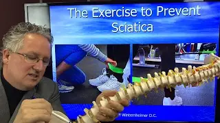 The Exercise To Prevent Back Pain and Sciatica