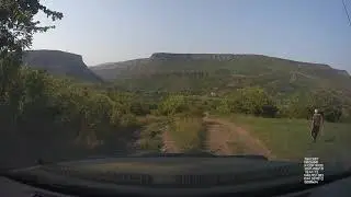 Arevatsag