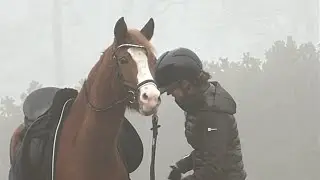 Halftertraining + Verkaufspony + ZAMBI Update 🐴🙌🏼