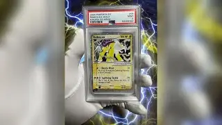 Raikou EX Team Magma vs Team Aqua #92/95 (2004) Holo Pok&eacute;mon Card - PSA 9 Graded