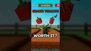 grand tomato seed in grow a garden | cook event | roblox