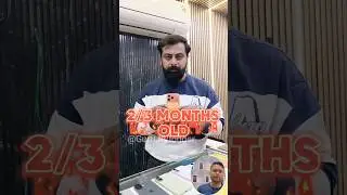 Biggest iPhone Sale Ever 🔥| Cheapest iPhone Market | Second Hand Mobile #mobile#shortfeed#yt#shorts