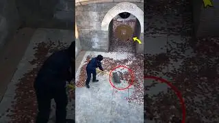 Mystery Coin Tunnel Wish 😮 অদ্ভুত Secret Money Mystery Real Explained ✨ 🏆 #Shorts #ytshorts #facts