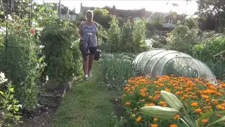 Vivi's Kitchen Garden - July Tour (2017)