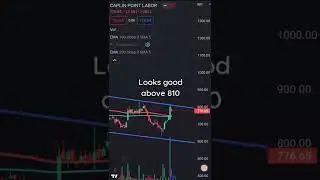 CAPLIN POINT LABS Swing Trade Setup | Growth Traders