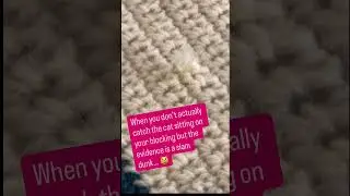 Gangsta cat vs crochet blocking