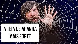 E Se Você Ficasse Preso na Maior Teia de Aranha do Mundo