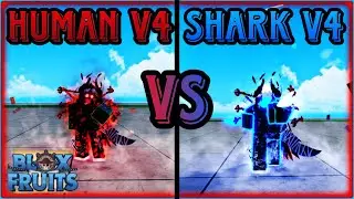 Human v4 vs shark v4 | Roblox Blox fruits