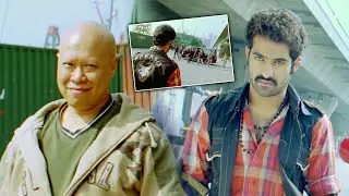 Watching Jr. NTR's mass fighting scene will blow your mind | Malayalam Movie Action Scenes | Jr NTR