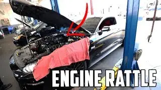 The TRUTH about owning a 2019 Mustang GT I wish I KNEW!