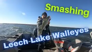 Leech Lake Walleye Fishing Fall 2020