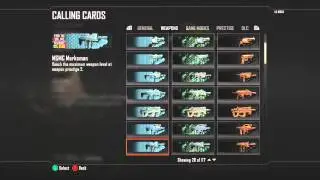 Black Ops 2: Personal Stats!!