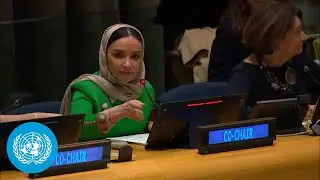 Peaceful Settlement of the Question of Palestine and the Implementation of the Two-State Solution