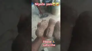 Nigeria yam ctive.🥰🥰🥰🥰🥰 #keepconnecting #keepnetwork