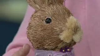 Sisal Bunny Couple in Lavender Gingham Outfits by Valerie on QVC
