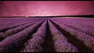 Call It Love - Felix Jaehn feat Ray Dalton 8d