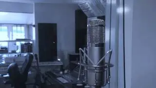 swedish voice over talent