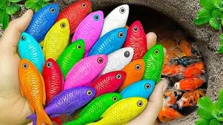 Catch beautiful aquarium fish in small pond baby turtles, eel, frog, pencil fish, guppies,nemo fish🐬