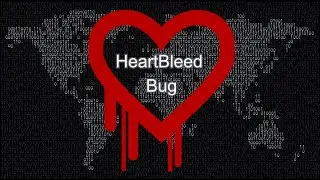 HeartBleed Bug 2014
