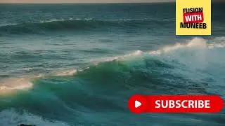 World's Most Dangerous Oceans l Deadly Waters of the Sea