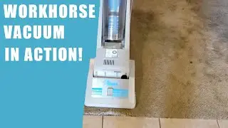 WORKHORSE VACUUM ON CARPET THAT'S SEEN BETTER DAYS