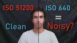 Everything to Know About ISO & Noise