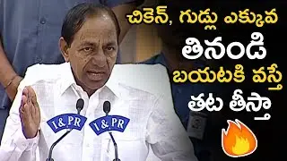 CM KCR Says Eat More Chicken, Fruits And Eggs || CM KCR Press Meet Video || NSE