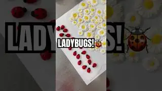 🐞LADYBUGS OR LADYBIRDS?