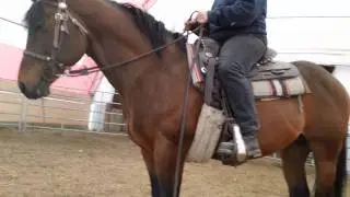 Leg aids with Kelly & Heidi