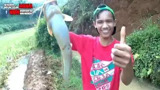 Mancing wader, beunteur di cikidang sukabumi, WBMI Is Back