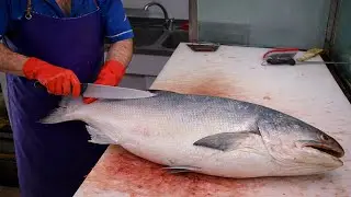 How to Fillet Fish Like a Coastal Fisherman With Daily Catch Experience