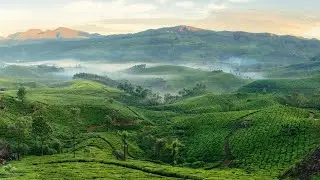 Munnar Moments | A Peaceful Cinematic Journey.  shot on @SamsungIndia S23 Ultra @Keralatourismveo 